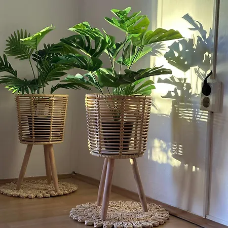 Rusta 公寓 塞拉耶佛