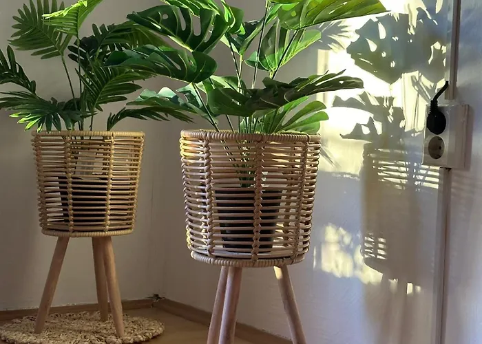 Rusta 公寓 塞拉耶佛